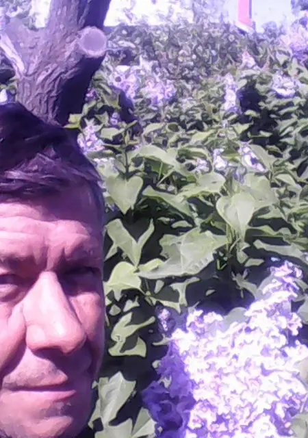 Я Мзаил, 61, знакомлюсь для постоянных отношений в Семикаракорске