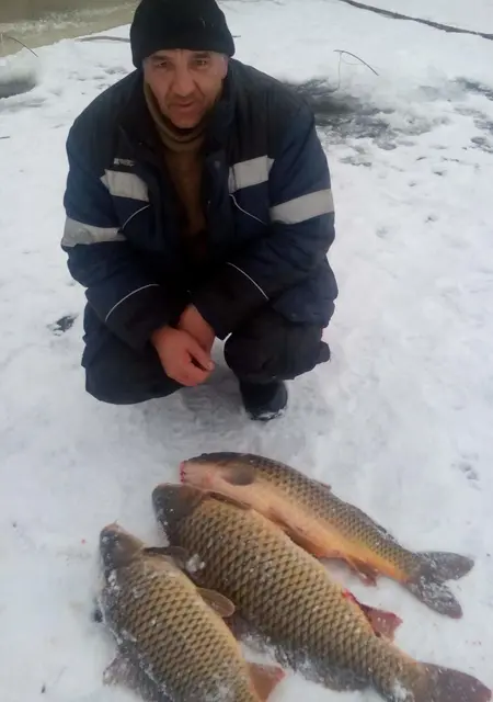 Я Александр, 55, знакомлюсь для постоянных отношений в Нариманове