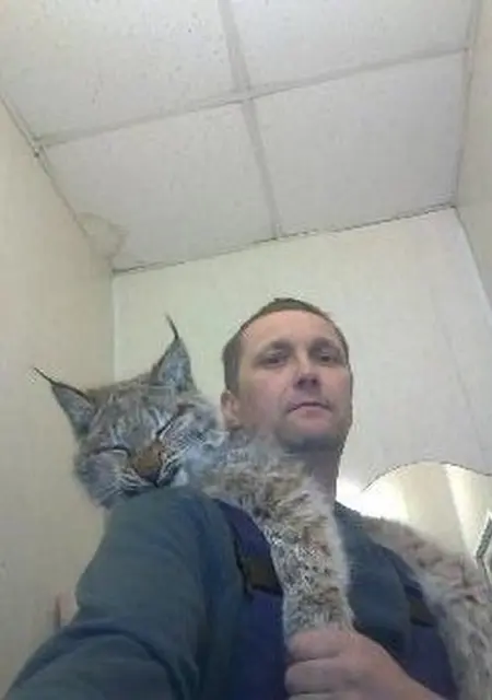 Я Вячеслав, 50, из Мортки, ищу знакомства на одну ночь