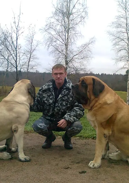 Я Михаил, 49, знакомлюсь без обязательств в Бокситогорске