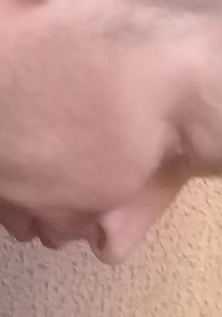 Я Игорь, 38, знакомлюсь на одну ночь в Котельникове