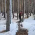 Денис из Каменска-Уральского, ищу на сайте общение